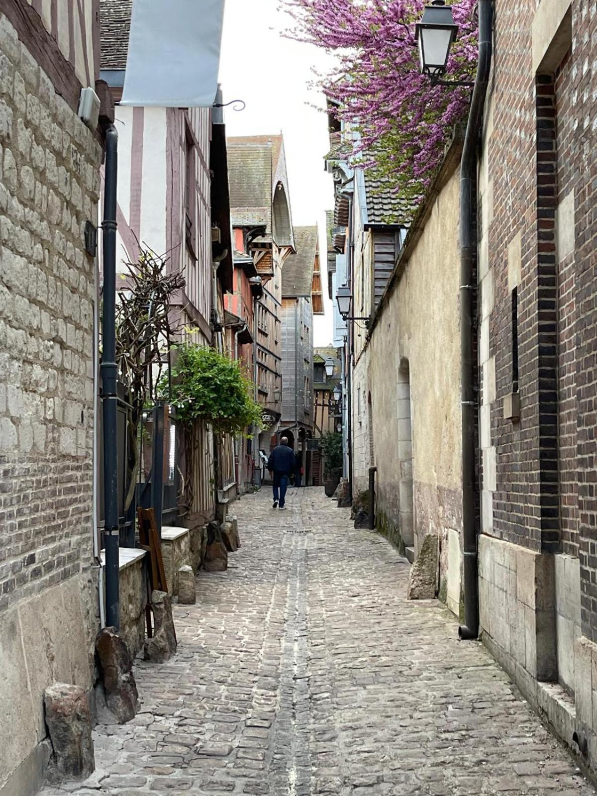 Willa Un Brin De Bonheur Troyes Zewnętrze zdjęcie
